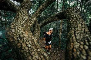 BIB: 
                            <button type="button" onclick="openModal(25394016)" class="btn btn-primary btn-sm float-right btn-popup" data-toggle="modal" data-target=".modal-high-quality">
                        <i class="fas fa-shopping-cart"></i> Add to Cart
                    </button>
                                            <button type="button" onclick="isThisMe(25394016, true)" class="btn btn-success btn-sm float-right btn-popup btn-isme hidden" data-toggle="tooltip" data-placement="bottom" title="นี่คือรูปของคุณใช่ไหม คลิกที่นี่เพื่อเอาเข้าอัลบั้ม">
                        <i class="fas fa-plus"></i> Add to album
                    </button>
                    <button type="button" onclick="isThisMe(25394016, false)" class="btn btn-warning btn-sm float-right btn-popup btn-isnotme hidden">
                        <i class="fas fa-ban"></i> Remove from album
                    </button>